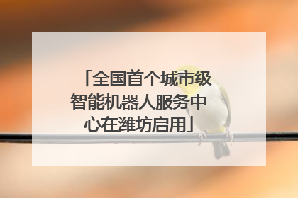 全国首个城市级智能机器人服务中心在潍坊启用