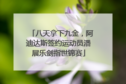 八天拿下九金，阿迪达斯签约运动员潘展乐剑指世锦赛