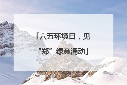 六五环境日，见“郑”绿意涌动