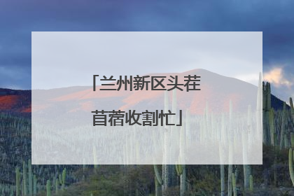 兰州新区头茬苜蓿收割忙
