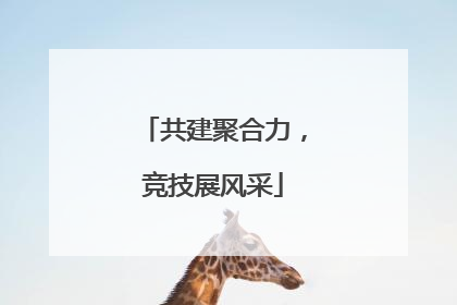 共建聚合力，竞技展风采