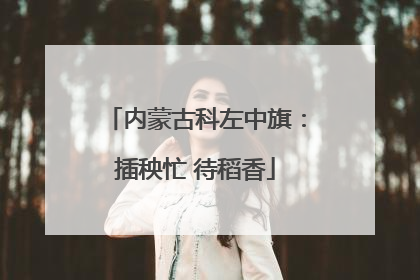 内蒙古科左中旗：插秧忙 待稻香