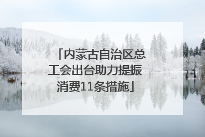 内蒙古自治区总工会出台助力提振消费11条措施