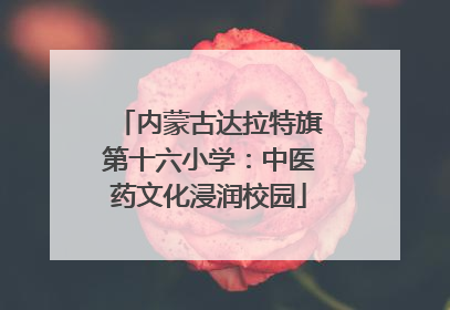 内蒙古达拉特旗第十六小学：中医药文化浸润校园