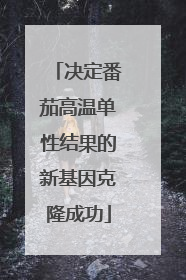 决定番茄高温单性结果的新基因克隆成功