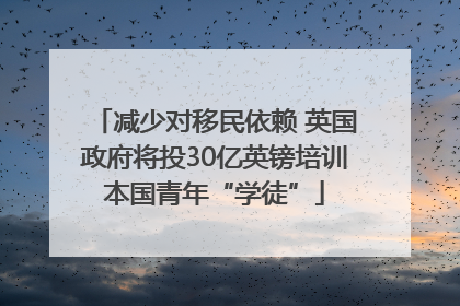 减少对移民依赖 英国政府将投30亿英镑培训本国青年“学徒”