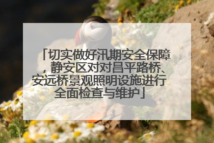 切实做好汛期安全保障，静安区对对昌平路桥、安远桥景观照明设施进行全面检查与维护