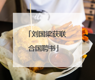 刘国梁获联合国聘书