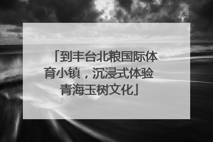 到丰台北粮国际体育小镇，沉浸式体验青海玉树文化