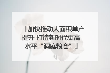 加快推动大面积单产提升 打造新时代更高水平“洞庭粮仓”