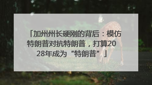 加州州长硬刚的背后：模仿特朗普对抗特朗普，打算2028年成为“特朗普”