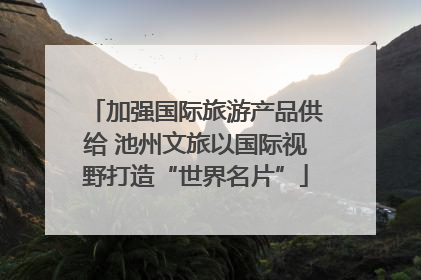加强国际旅游产品供给 池州文旅以国际视野打造“世界名片”
