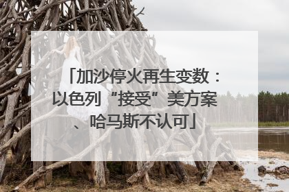 加沙停火再生变数：以色列“接受”美方案、哈马斯不认可