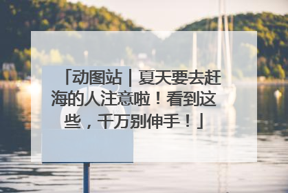 动图站｜夏天要去赶海的人注意啦！看到这些，千万别伸手！