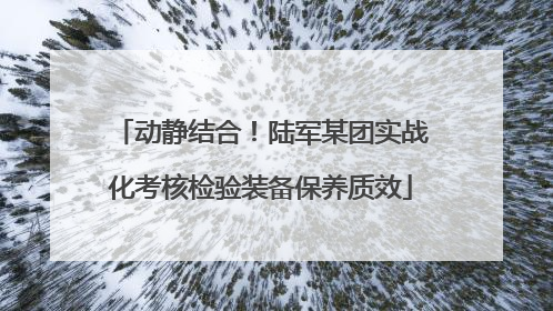 动静结合！陆军某团实战化考核检验装备保养质效