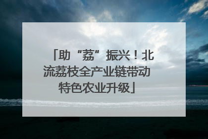 助“荔”振兴！北流荔枝全产业链带动特色农业升级