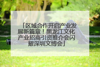 区域合作开启产业发展新篇章！黑龙江文化产业招商引资推介会闪耀深圳文博会