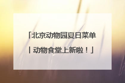 北京动物园夏日菜单丨动物食堂上新啦！
