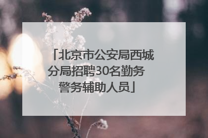 北京市公安局西城分局招聘30名勤务警务辅助人员