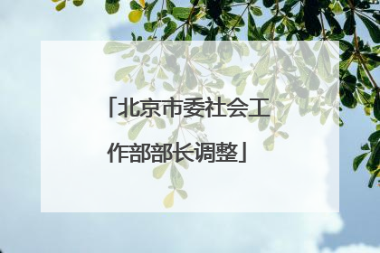 北京市委社会工作部部长调整