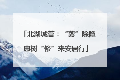 北湖城管：“剪”除隐患树“修”来安居行
