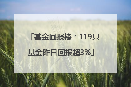 基金回报榜：119只基金昨日回报超3%