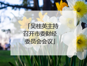吴桂英主持召开市委财经委员会会议
