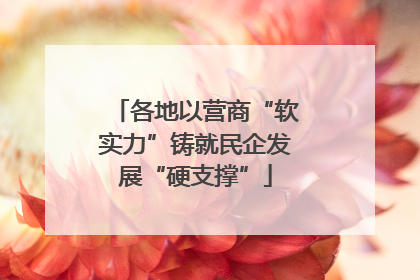 各地以营商“软实力”铸就民企发展“硬支撑”