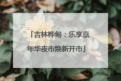 吉林桦甸：乐享嘉年华夜市焕新开市