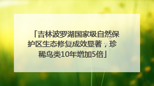 吉林波罗湖国家级自然保护区生态修复成效显著，珍稀鸟类10年增加5倍