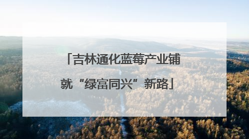 吉林通化蓝莓产业铺就“绿富同兴”新路