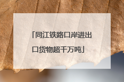 同江铁路口岸进出口货物超千万吨