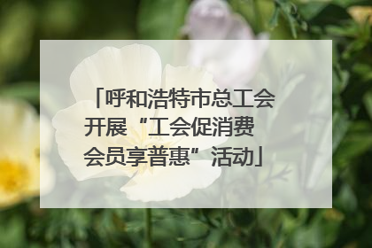 呼和浩特市总工会开展“工会促消费 会员享普惠”活动