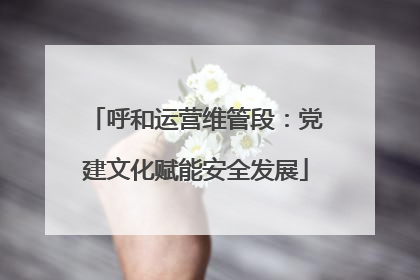 呼和运营维管段：党建文化赋能安全发展