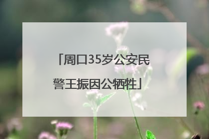 周口35岁公安民警王振因公牺牲