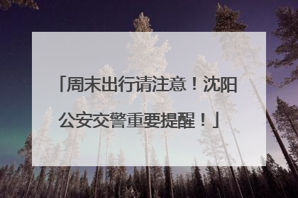 周末出行请注意！沈阳公安交警重要提醒！