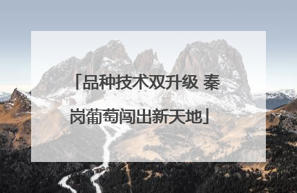 品种技术双升级 秦岗葡萄闯出新天地