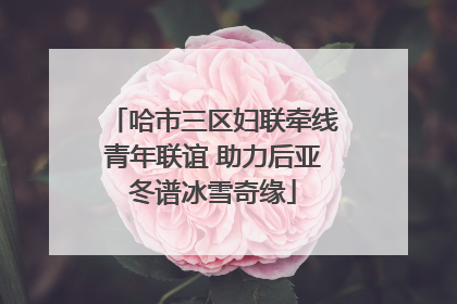 哈市三区妇联牵线青年联谊 助力后亚冬谱冰雪奇缘