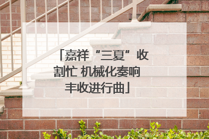 嘉祥“三夏”收割忙 机械化奏响丰收进行曲