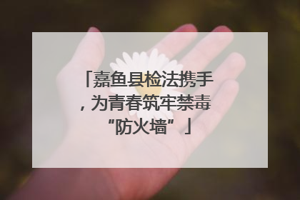 嘉鱼县检法携手，为青春筑牢禁毒“防火墙”