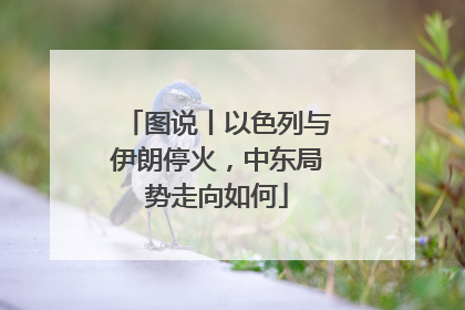 图说丨以色列与伊朗停火，中东局势走向如何