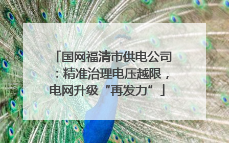国网福清市供电公司：精准治理电压越限，电网升级“再发力”