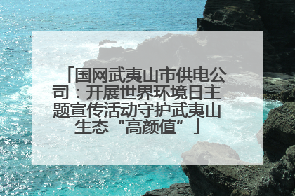 国网武夷山市供电公司：开展世界环境日主题宣传活动守护武夷山生态“高颜值”