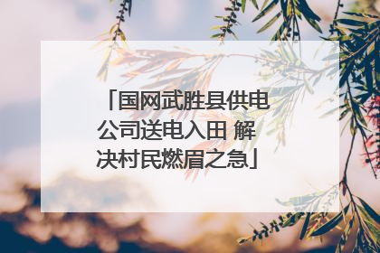 国网武胜县供电公司送电入田 解决村民燃眉之急