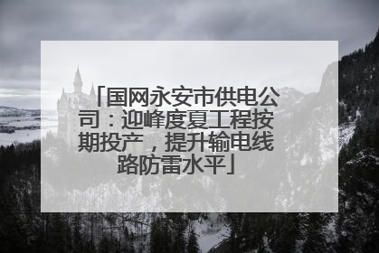 国网永安市供电公司：迎峰度夏工程按期投产，提升输电线路防雷水平