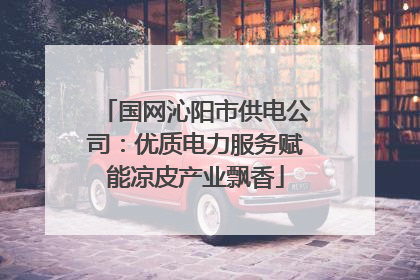 国网沁阳市供电公司：优质电力服务赋能凉皮产业飘香