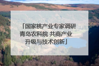 国家桃产业专家调研青岛农科院 共商产业升级与技术创新