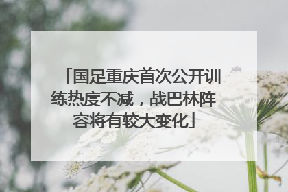 国足重庆首次公开训练热度不减，战巴林阵容将有较大变化