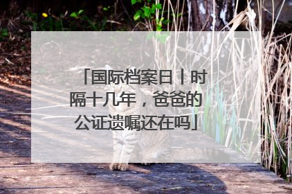 国际档案日丨时隔十几年，爸爸的公证遗嘱还在吗