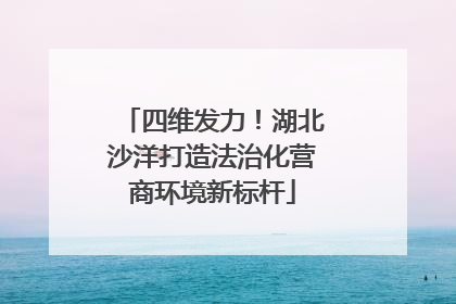 四维发力！湖北沙洋打造法治化营商环境新标杆